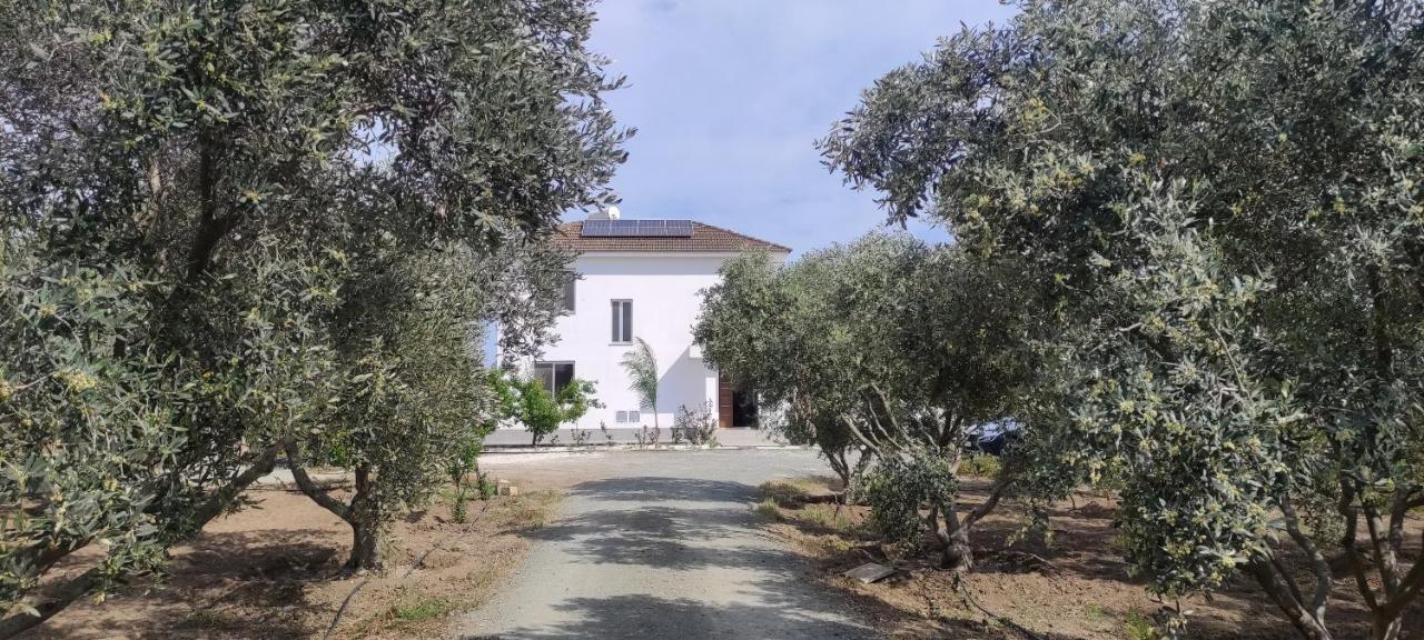 Kiti Village Villa, Cyprus, Salt-Water Pool, 6 Bedrooms, Larnaca Eksteriør bilde
