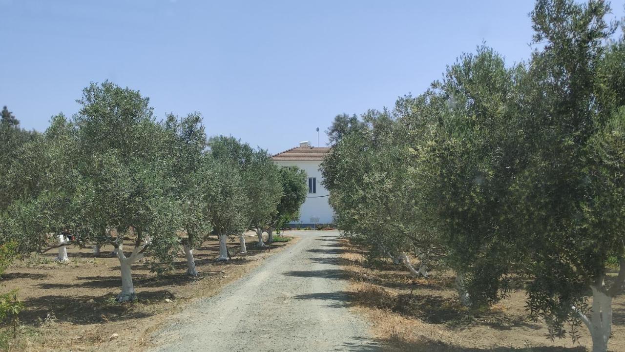 Kiti Village Villa, Cyprus, Salt-Water Pool, 6 Bedrooms, Larnaca Eksteriør bilde
