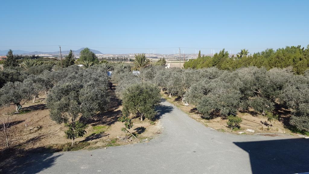 Kiti Village Villa, Cyprus, Salt-Water Pool, 6 Bedrooms, Larnaca Eksteriør bilde